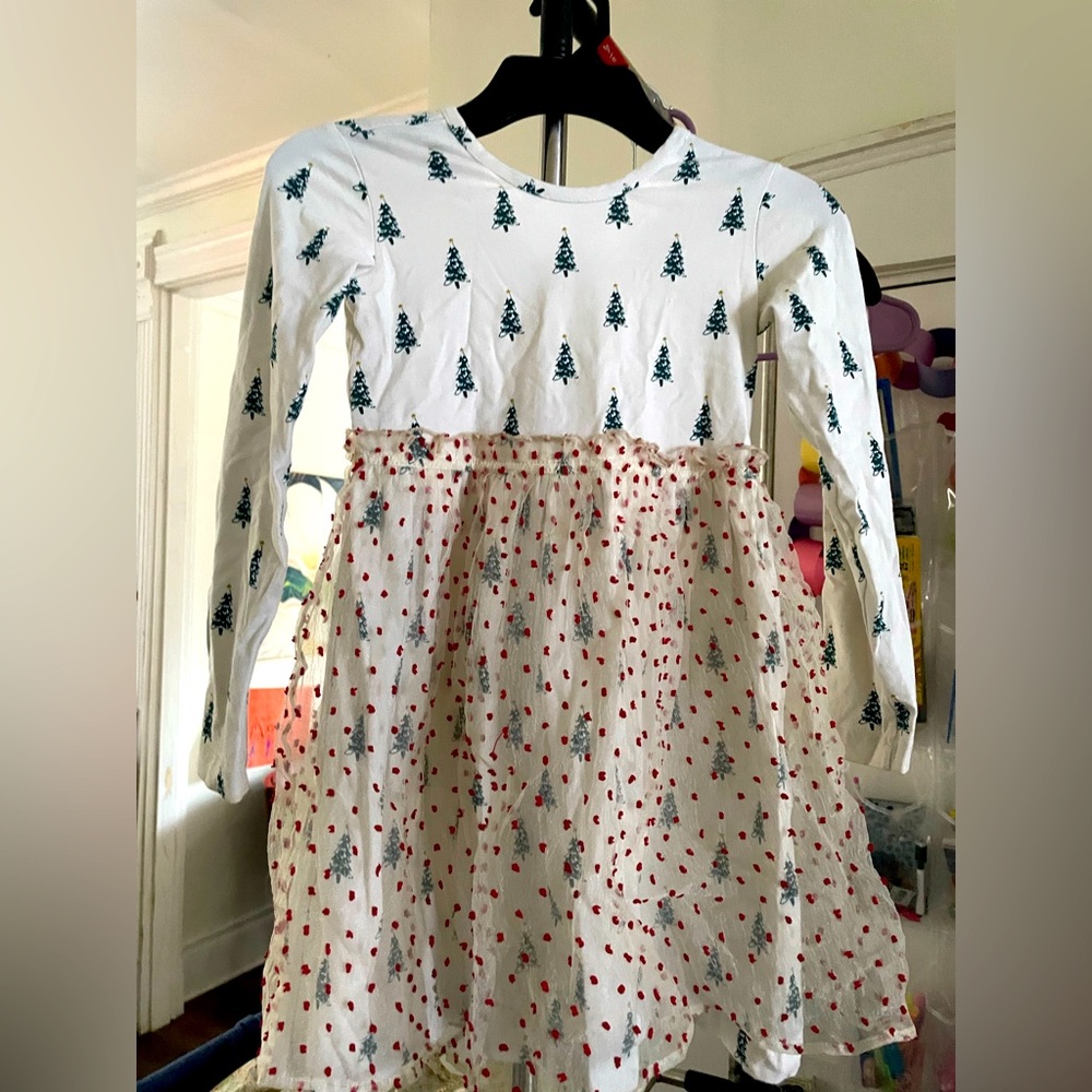 Winter Hanna Andersson dress